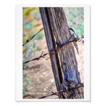 "Weathered" Photographic Print
