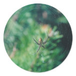 Web Crawler - stickers