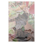 Web of Dewdrops Personalized Stationery
