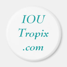 web site ad magnet