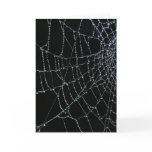 Web Wonder Card