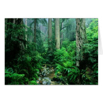 Webb Creek, CA Customizable Photo Gifts, Cards