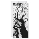 WEBBY TREE BLACK AND WHITE CUSTOM RACK CARDS