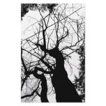 WEBBY TREE BLACK AND WHITE stationery