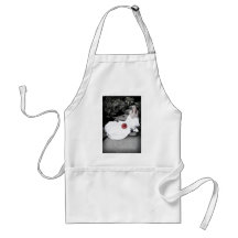 WedBouquetR091810StairsBW Aprons
