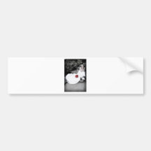 WedBouquetR091810StairsBW Bumper Sticker