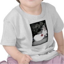 WedBouquetR091810StairsBW Tee Shirts