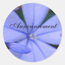 Wedding Announcement Blue stickers