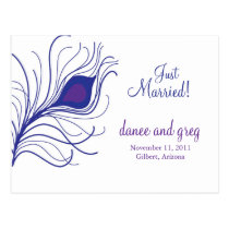 Wedding Announcement peacock feather postcards