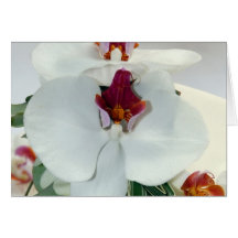 Wedding cake greeting cards