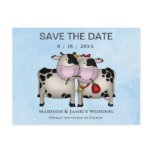 Wedding Cows Save the Date Postcard