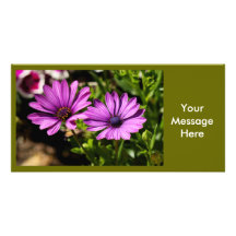Wedding Event Bridal Shower Photo Card Invitation