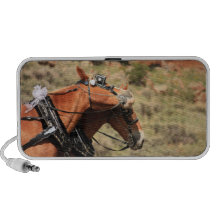 Wedding Horses PC Speakers