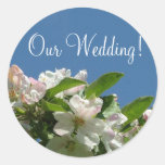 Wedding Invitation Seal_Apple Blossom_Our Wedding! Round Sticker