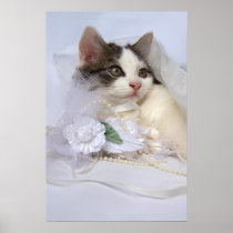 Wedding Kitten Fine Art Print