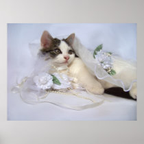Wedding Kitten Fine Art Print
