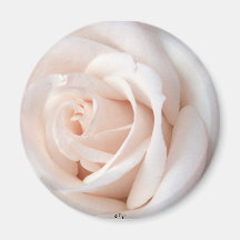 Wedding Rose Magnet