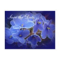 Wedding "Save the Date" Blue African Violets Post Cards