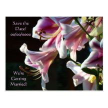 Wedding Save the Date! cards Pink Lily Flowers Post Card