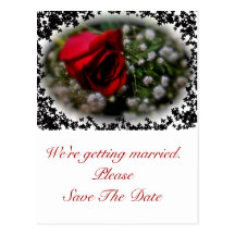Wedding Save the Date Rose & Baby's Breath Post Card
