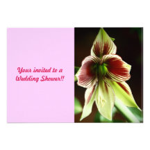 Wedding shower invitations