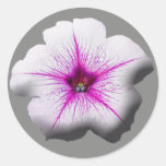 Wedding Stickers Petunia Floral stickers
