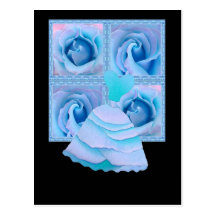 WEDDING - Turquoise Roses, Turqoise Dress Postcard