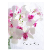 Wedding. White Orchids. Save the Date Post Card