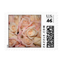 Wedding White Pink Rose postage