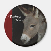 Wedrose Acres donkey magnet