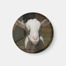 Wedrose Acres Goat 2 Magnet