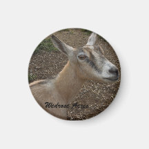 Wedrose Acres Goat Magnet