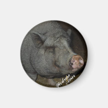 Wedrose Acres pig magnet