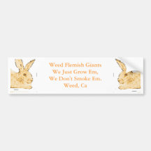 Weed Flemish Giant Bumpersticker Bumper Sticker