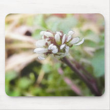 Weed Flower - Bittercress Mousepads