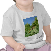 WEED MARIJUANA HEMP POT MANTIDS MANTIS shirts