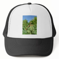 WEED MARIJUANA HEMP POT MANTIDS MANTIS shirts Hat