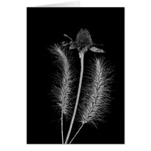 Weeds and flower cards