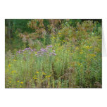 Weeds Card