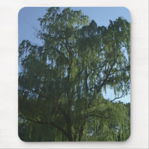 Weepimg Willow Tree Mousepad