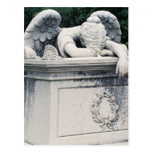 Weeping Angel Postcard