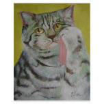 weeping cat letterhead