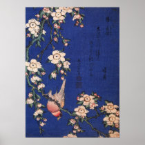 Weeping Cherry and Bullfinch, Hokusai Posters