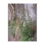 weeping rock wall postcards