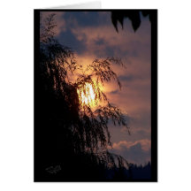 Weeping Willow at Sunrise Card