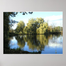Weeping willow by the lake posters