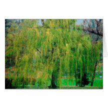 Weeping Willow Card