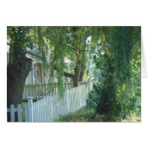Weeping Willow Card