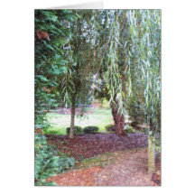 Weeping Willow Greeting Cards