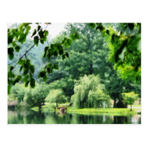 Weeping Willow in the Mist Post Cards
